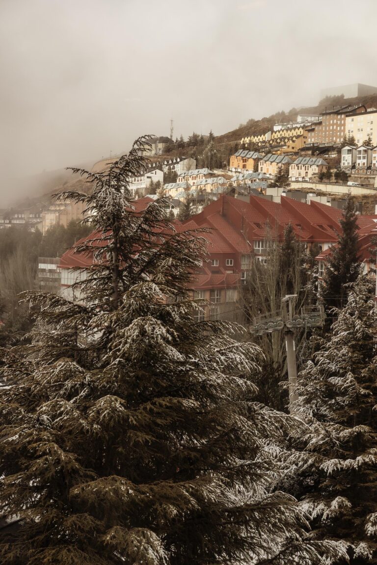 Refugio Nevado – holiday apartment in Sierra Nevada, photo 71