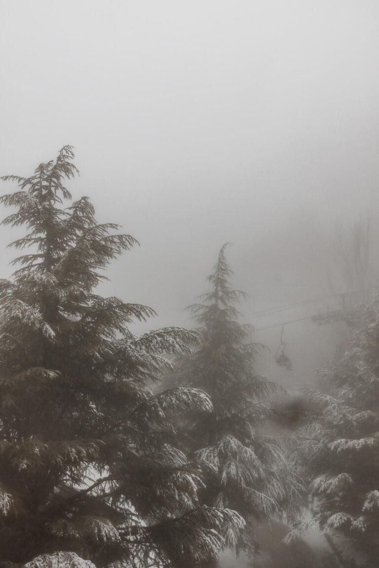 Refugio Nevado – holiday apartment in Sierra Nevada, photo 34