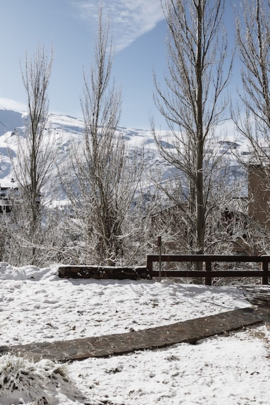 LUXURY-RENT-APARTAMENT-SIERRA-NEVADA-ALQUILER-APARTAMENTO-NIEVE-14