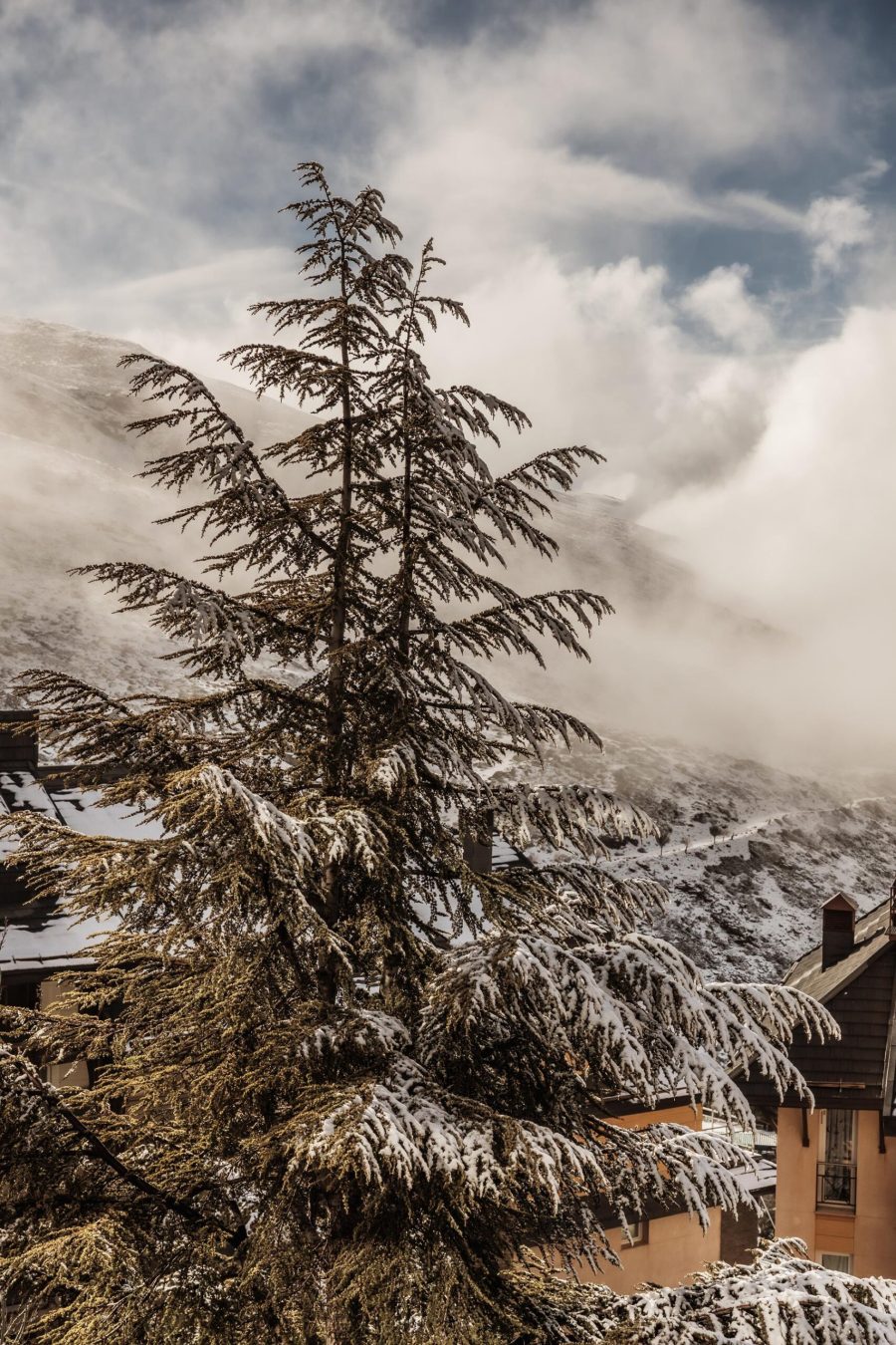Refugio Nevado – holiday apartment in Sierra Nevada, photo 257